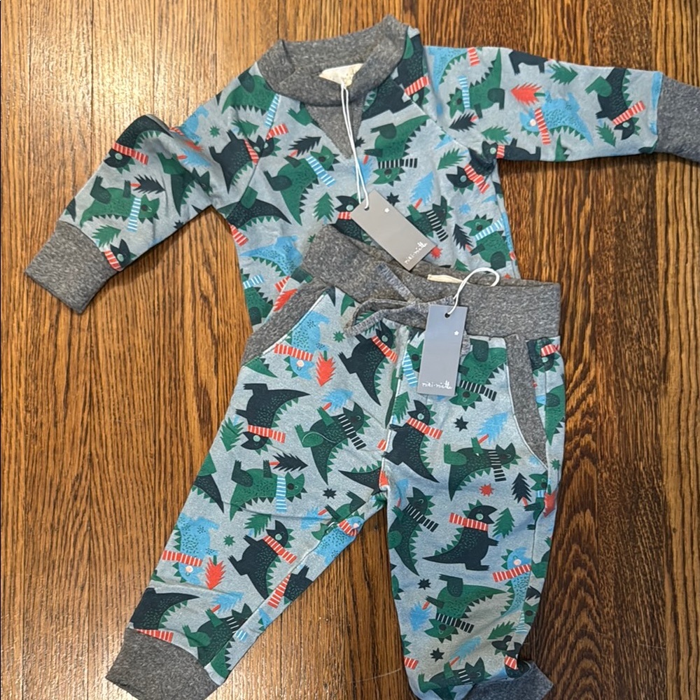 Kids Dinosaur Set